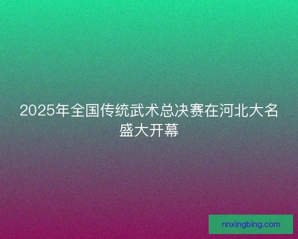 2025年全国传统武术总决赛在河北大名盛大开幕